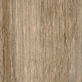 Дуб венецианский Дуб венецианский